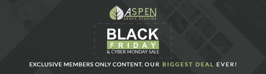 Aspen Grove Studios - 25% off