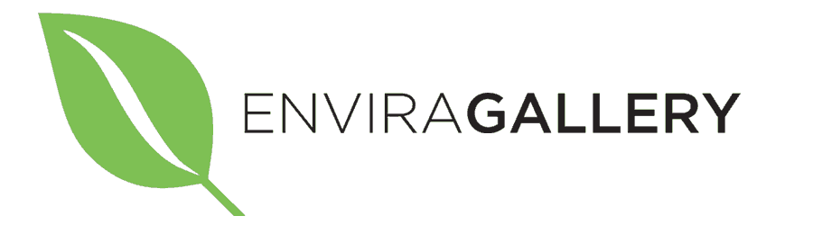 Envira Gallery - 25% off